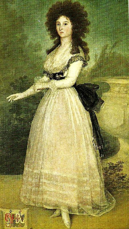 Francisco de Goya dona tadea arias de enriquez Sweden oil painting art
